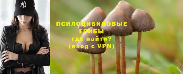 синтетический гашиш Богородицк