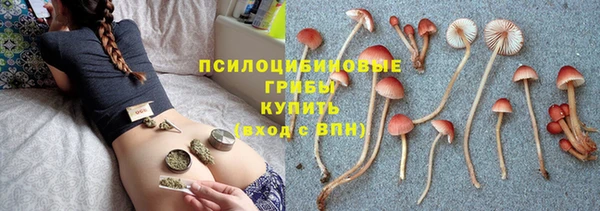 apvp Богданович