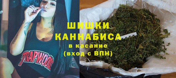 apvp Богданович