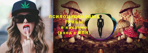 apvp Богданович