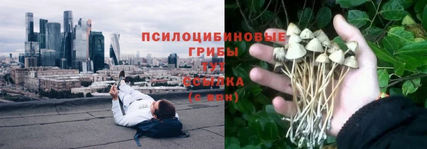 синтетический гашиш Богородицк