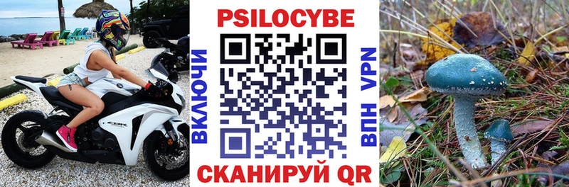 где продают   Надым  Галлюциногенные грибы мицелий 